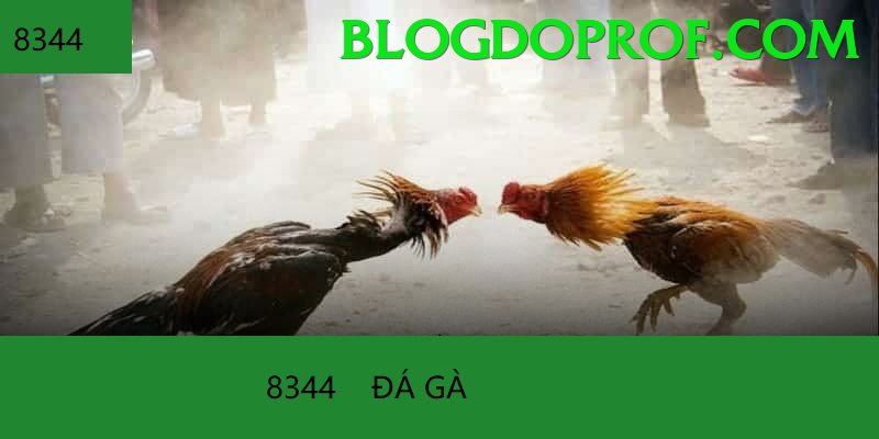 Đá Gà Trực Tiếp - 58WIN