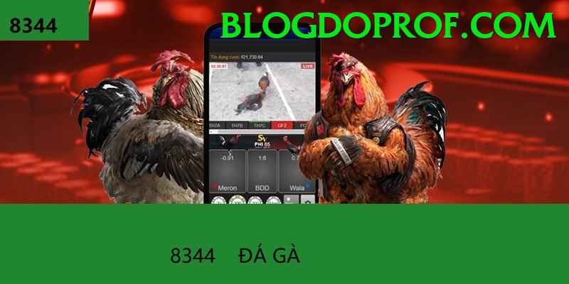 Cách Đọc Kèo Đá Gà